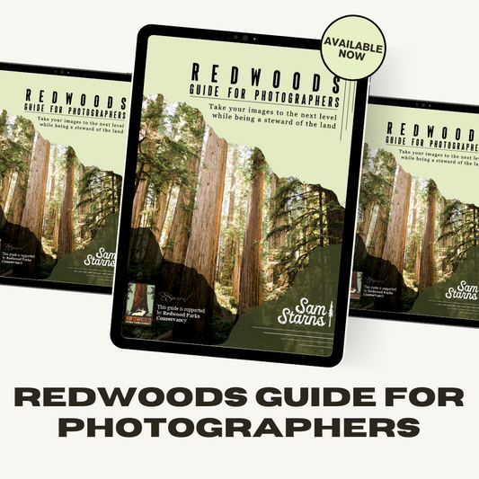 Photography Guide to the Redwoods - Supported by Redwood Parks Conservancy